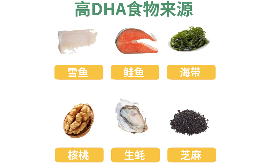 高DHA食物来源.jpg