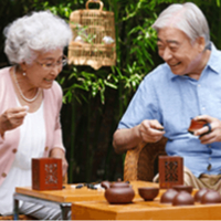 广州岭南养生谷