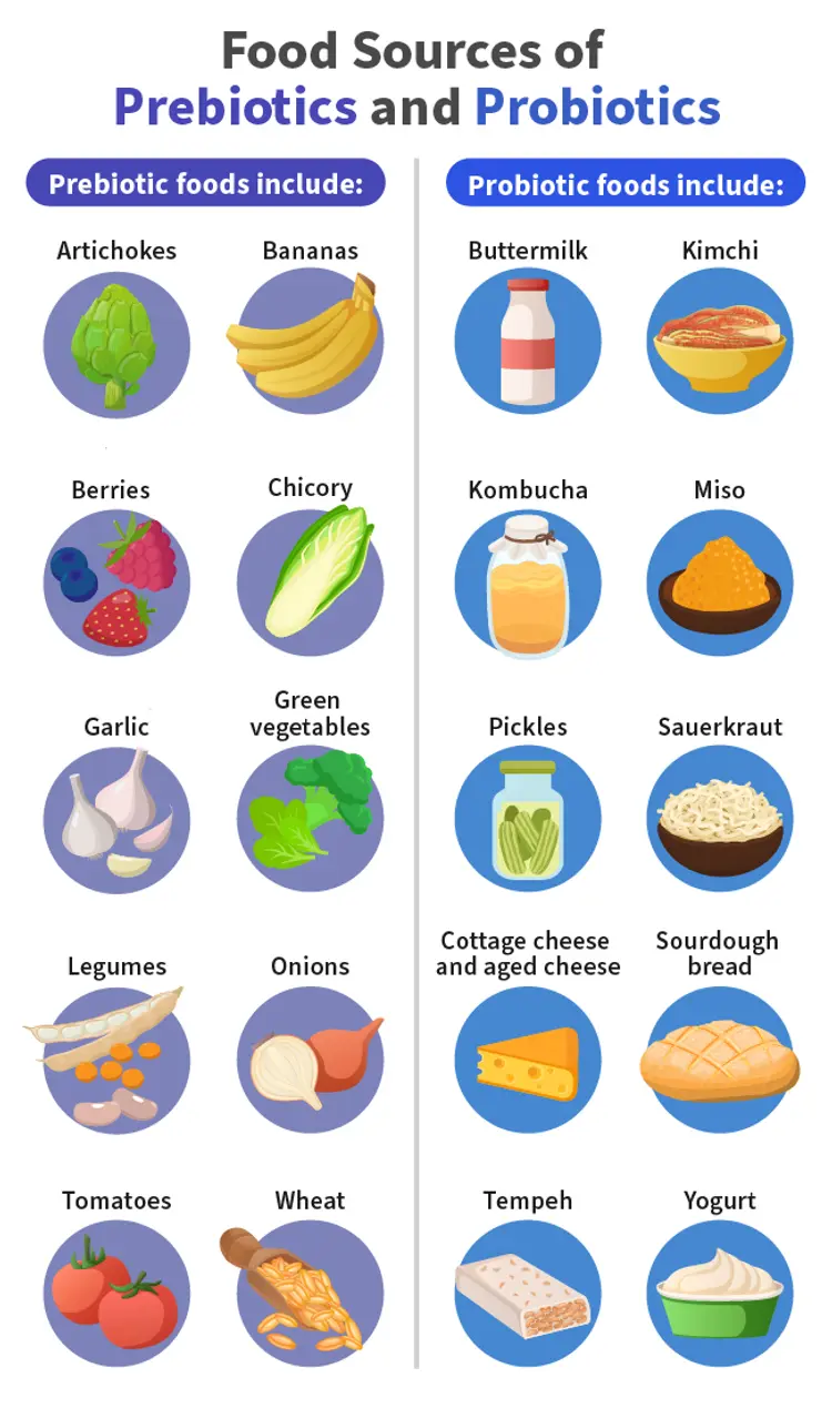 food-sources-of-prebiotics-and-probiotics-infographic.jpg