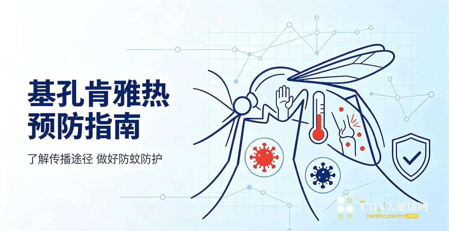 登革热基孔肯雅热.jpg
